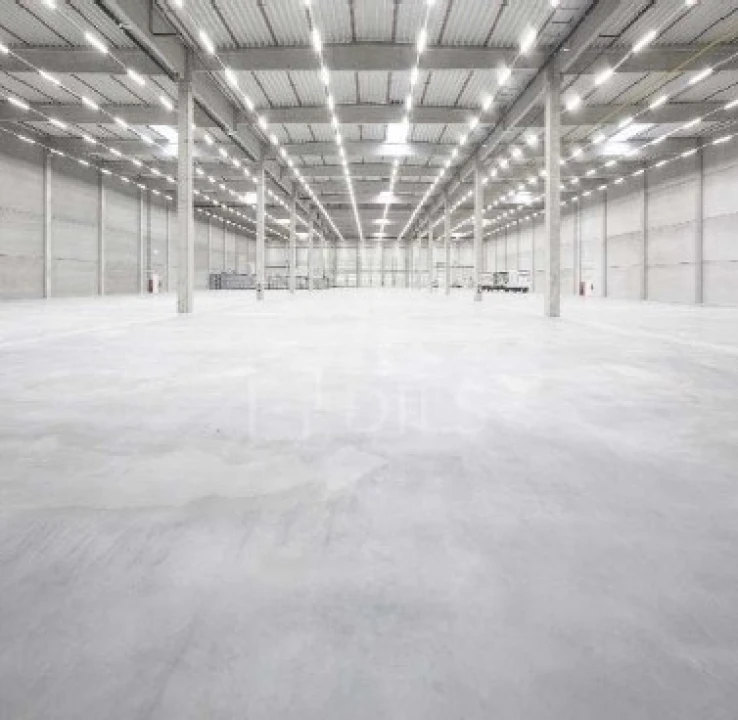 Armazém para Arrendamento em Santa Maria e São Miguel, São Martinho, São Pedro Penaferrim Foto 9