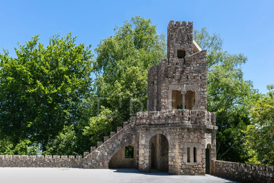Armazém para Arrendamento em Santa Maria e São Miguel, São Martinho, São Pedro Penaferrim Foto 17