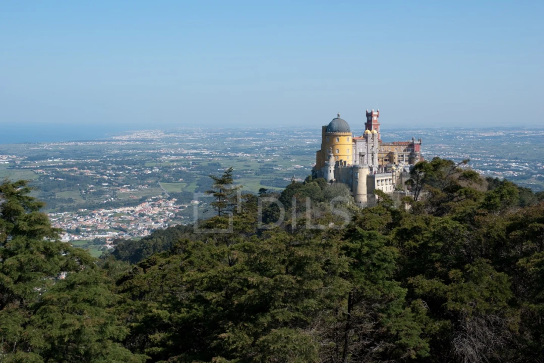Armazém para Arrendamento em Santa Maria e São Miguel, São Martinho, São Pedro Penaferrim Foto 16