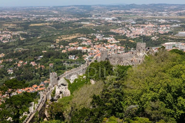 Armazém para Arrendamento em Santa Maria e São Miguel, São Martinho, São Pedro Penaferrim Foto 19