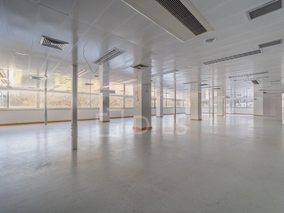 Escritório para Arrendamento em Lordelo do Ouro e Massarelos Foto 4