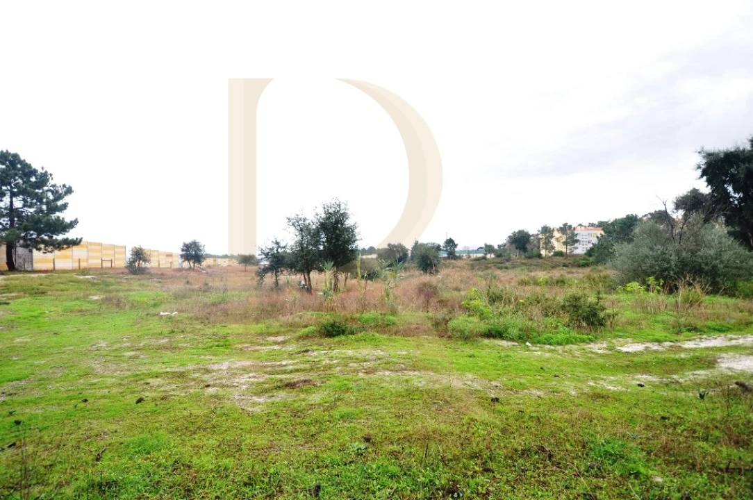 Armazém para Venda em Seixal, Arrentela e Aldeia de Paio Pires Foto 3