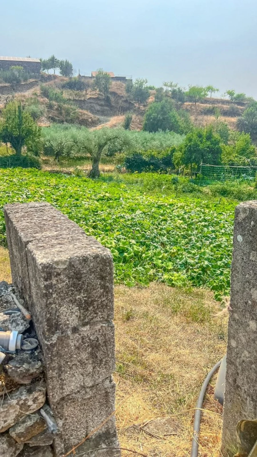 Moradia para Venda em Vales Foto 13