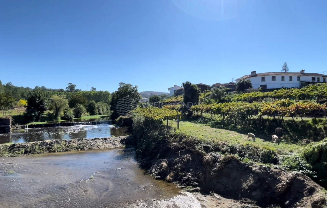 Terreno para Venda em Sobreira Foto 15