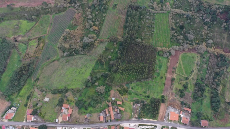 Terreno para Venda em Salir de Matos Foto 2