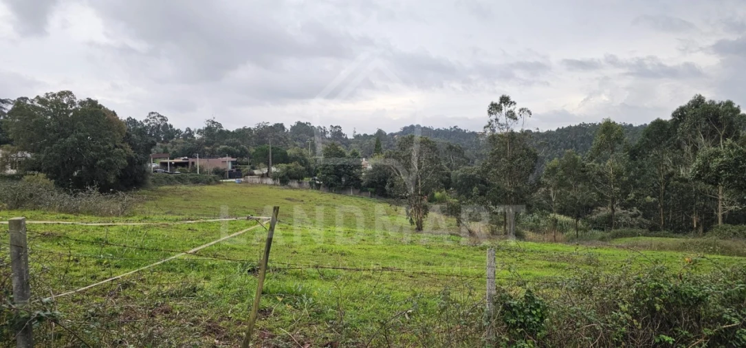 Terreno para Venda em Benedita Foto 4