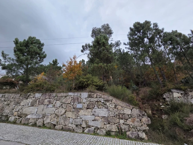 Terreno para Venda em Castro Daire Foto 5