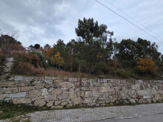 Terreno para Venda em Castro Daire Foto 2