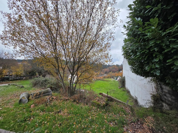Terreno para Venda em Castro Daire Foto 2