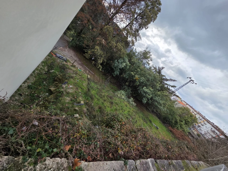 Terreno para Venda em Castro Daire Foto 6