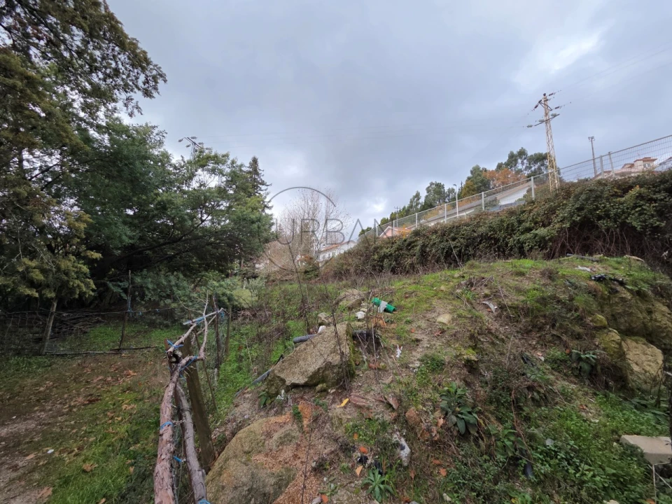 Terreno para Venda em Castro Daire Foto 5