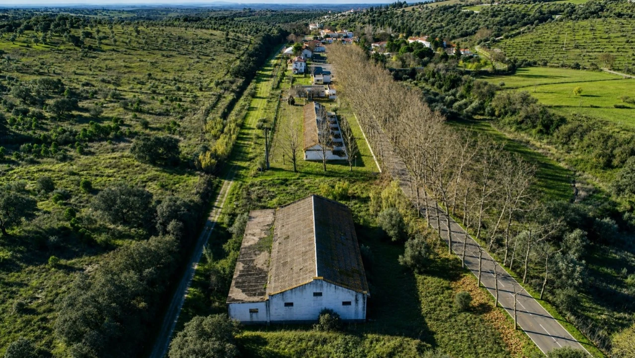 Armazém para Venda em Cabeço de Vide Foto 6