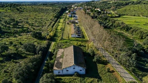 Armazém para Venda em Cabeço de Vide