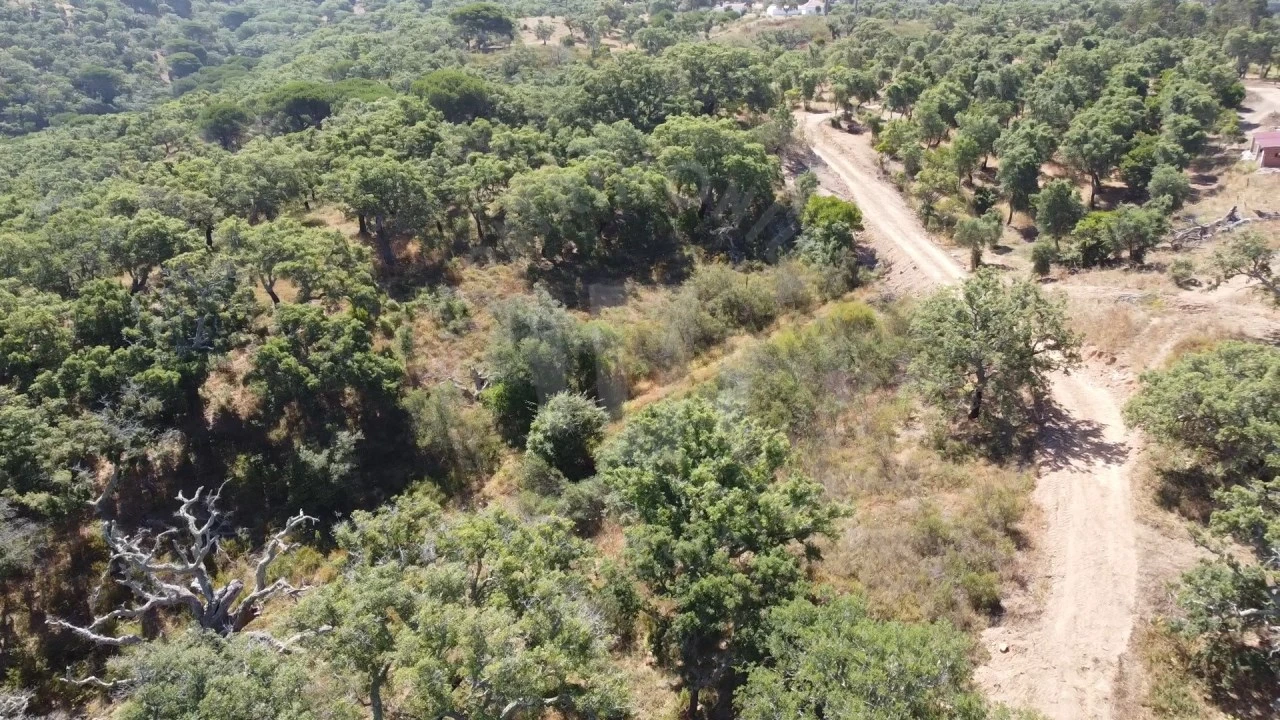 Terreno Agricola ou Rústico para Venda em São Francisco da Serra Foto 14