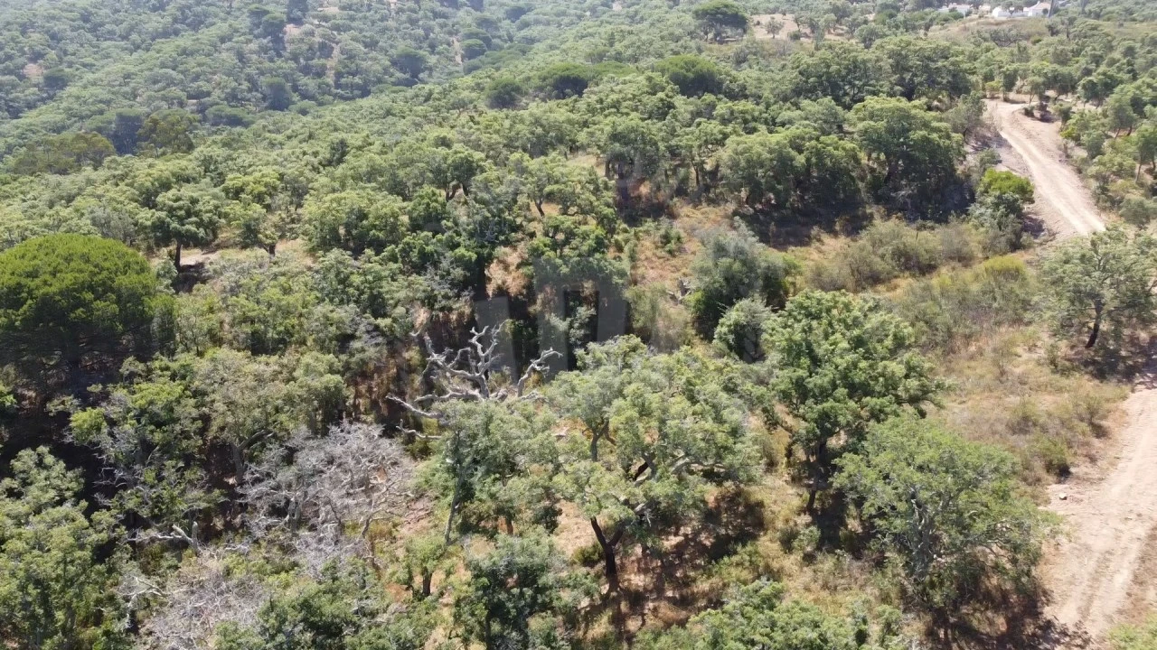 Terreno Agricola ou Rústico para Venda em São Francisco da Serra Foto 15
