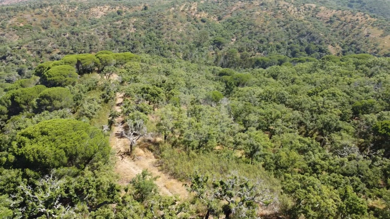 Terreno Agricola ou Rústico para Venda em São Francisco da Serra Foto 18