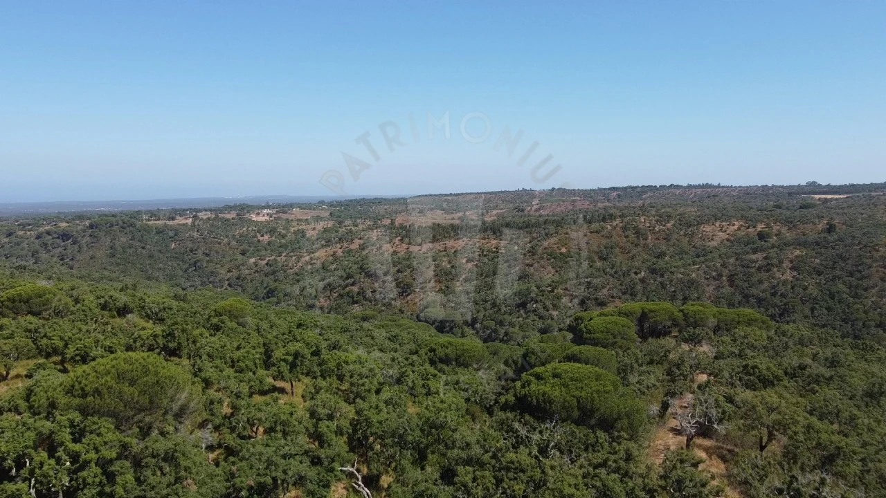 Terreno Agricola ou Rústico para Venda em São Francisco da Serra Foto 19