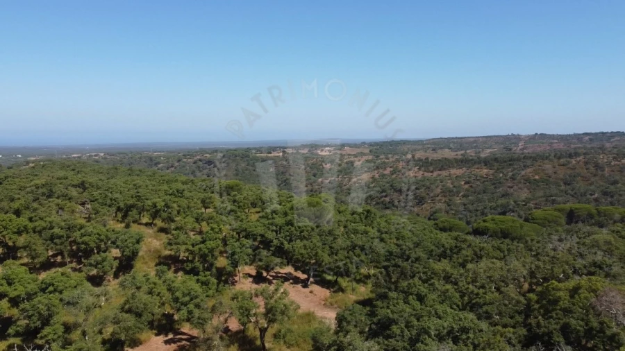 Terreno Agricola ou Rústico para Venda em São Francisco da Serra