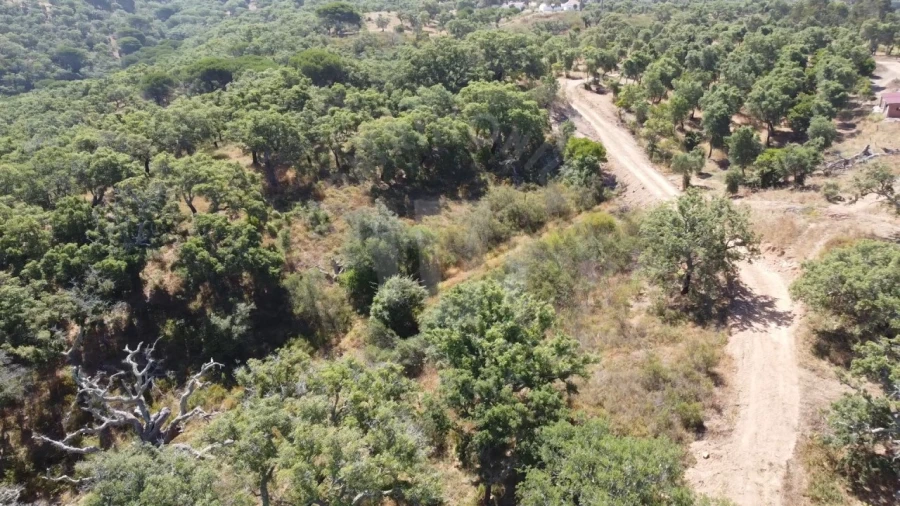 Terreno Agricola ou Rústico para Venda em São Francisco da Serra Foto 14