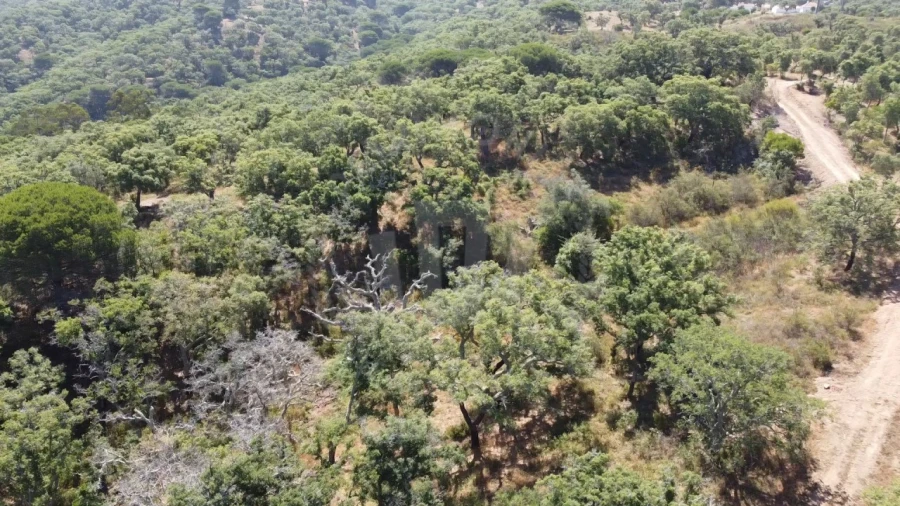 Terreno Agricola ou Rústico para Venda em São Francisco da Serra Foto 15
