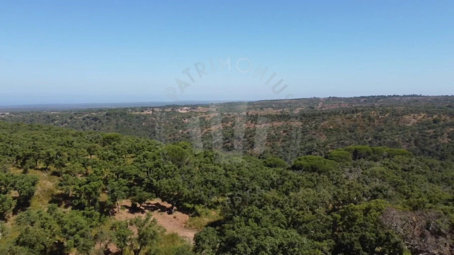 Terreno Agricola ou Rústico para Venda em São Francisco da Serra Foto 20