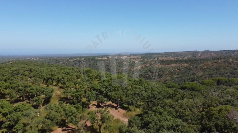 Terreno Agricola ou Rústico para Venda em São Francisco da Serra