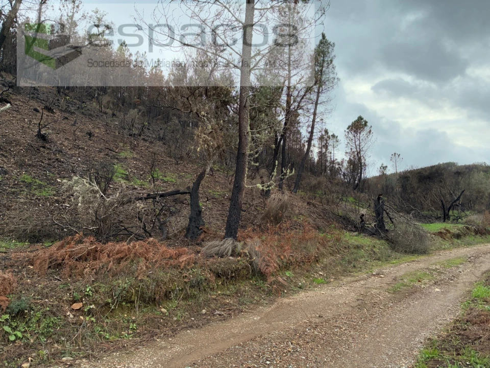Terreno para Venda em Lavacolhos Foto 14
