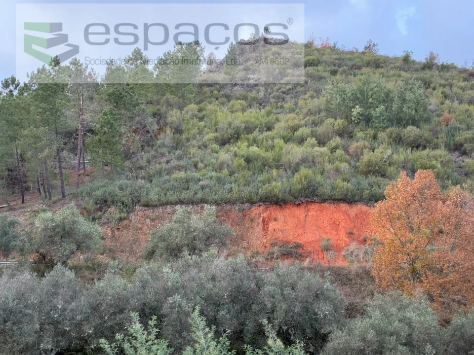 Terreno para Venda em Lavacolhos Foto 3