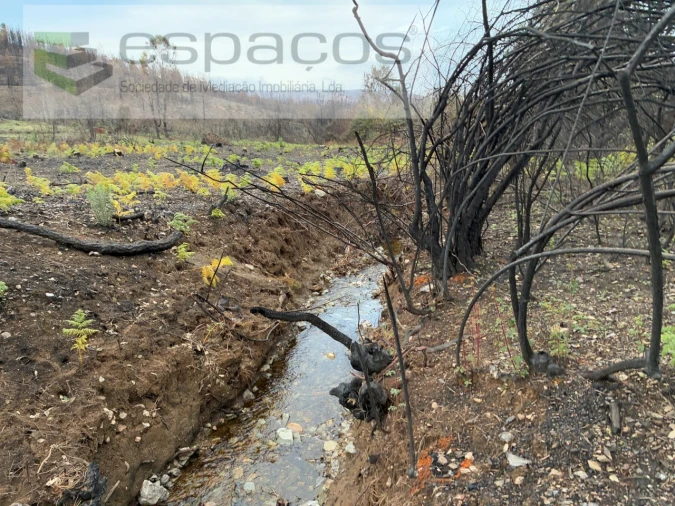 Terreno para Venda em Lavacolhos Foto 4
