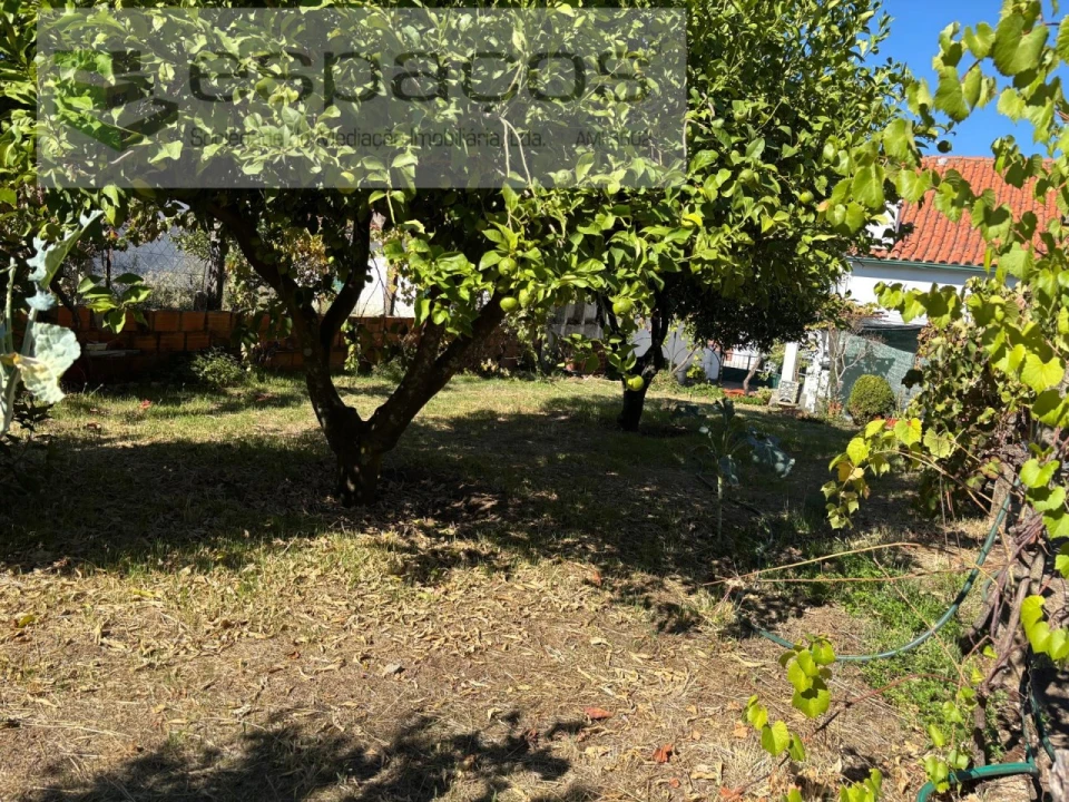 Moradia T3 para Venda em Castelo Branco Foto 15