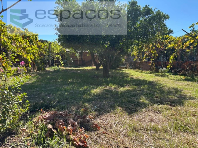 Moradia T3 para Venda em Castelo Branco Foto 22