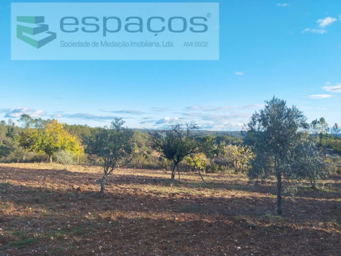 Terreno para Venda em Santo Andre das Tojeiras Foto 3