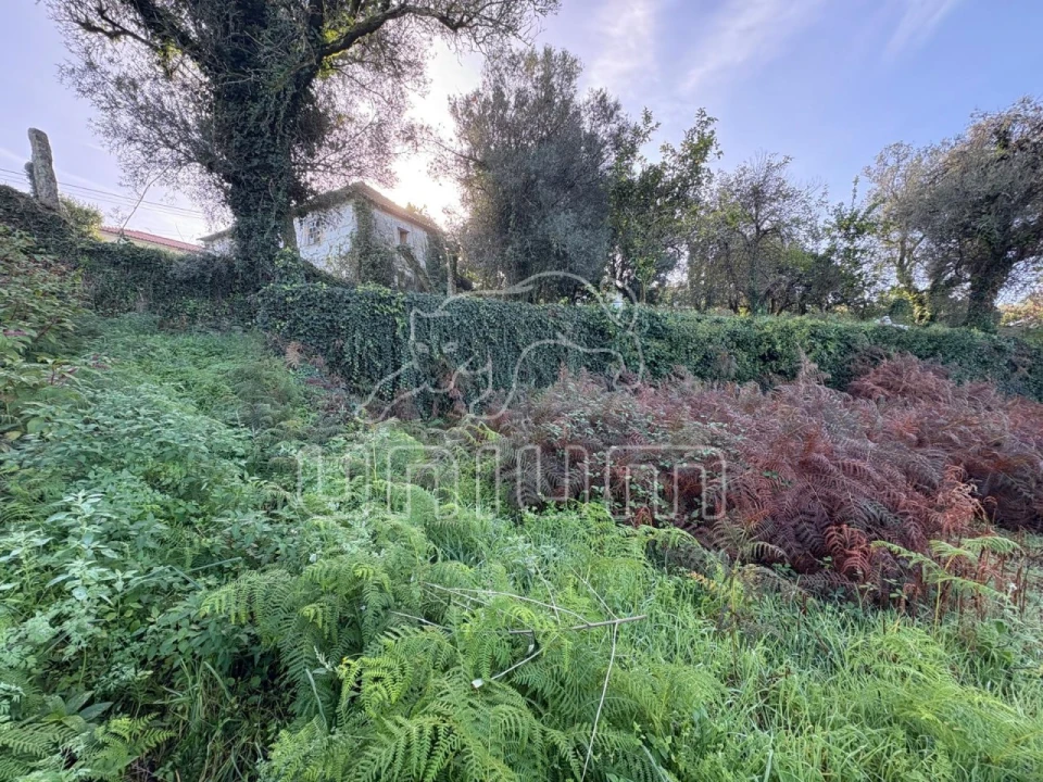 Moradia T2 para Venda em Geraz do Lima (Santa Maria, Santa Leocádia, Moreira), Deão Foto 4
