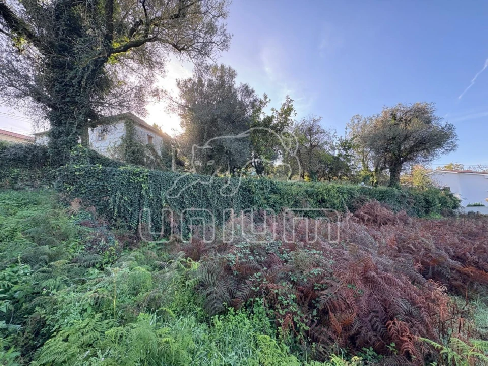 Moradia T2 para Venda em Geraz do Lima (Santa Maria, Santa Leocádia, Moreira), Deão Foto 11