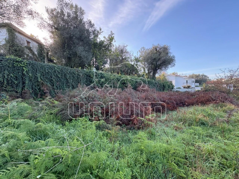 Moradia T2 para Venda em Geraz do Lima (Santa Maria, Santa Leocádia, Moreira), Deão Foto 14