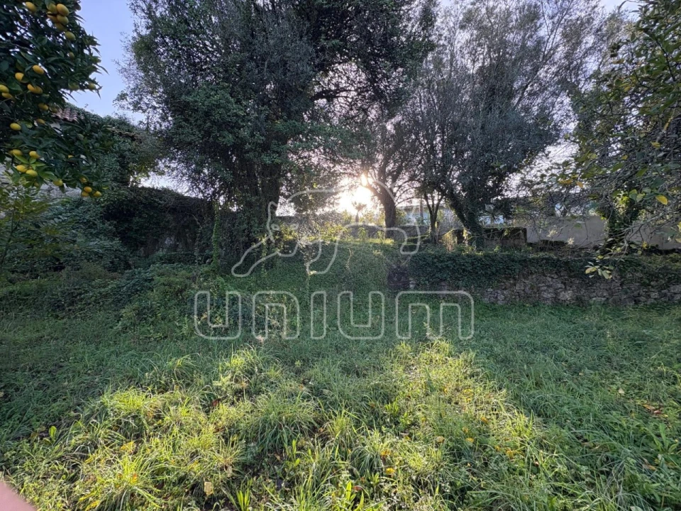 Moradia T2 para Venda em Geraz do Lima (Santa Maria, Santa Leocádia, Moreira), Deão Foto 15