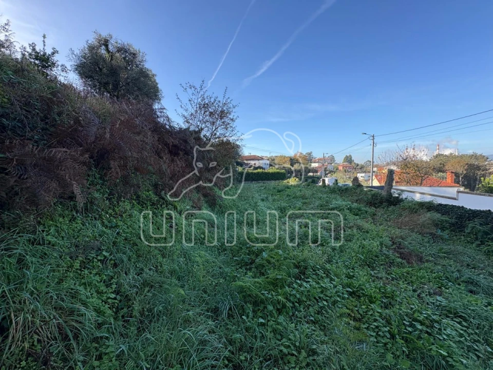 Moradia T2 para Venda em Geraz do Lima (Santa Maria, Santa Leocádia, Moreira), Deão Foto 16