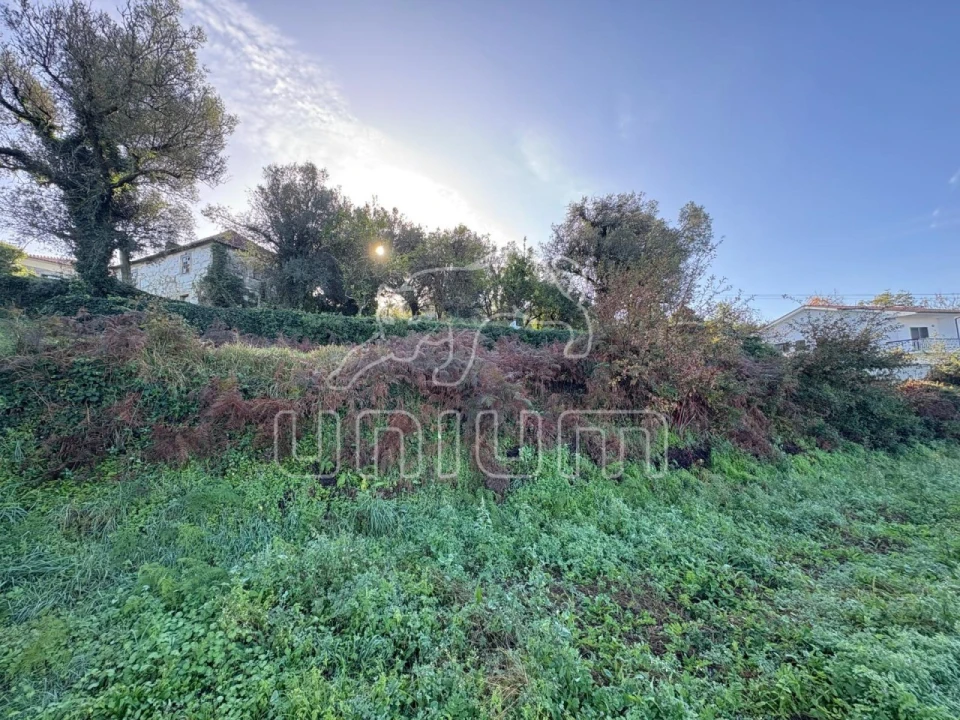 Moradia T2 para Venda em Geraz do Lima (Santa Maria, Santa Leocádia, Moreira), Deão Foto 17