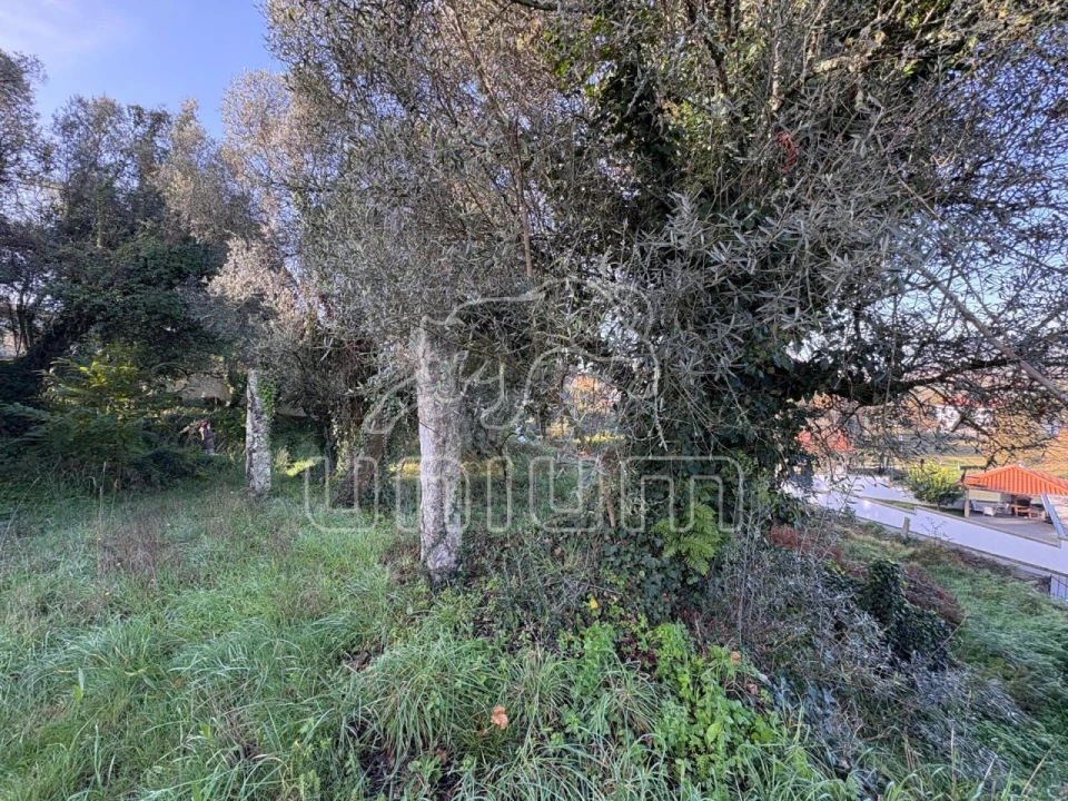 Moradia T2 para Venda em Geraz do Lima (Santa Maria, Santa Leocádia, Moreira), Deão Foto 20