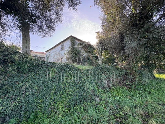 Moradia T2 para Venda em Geraz do Lima (Santa Maria, Santa Leocádia, Moreira), Deão Foto 12