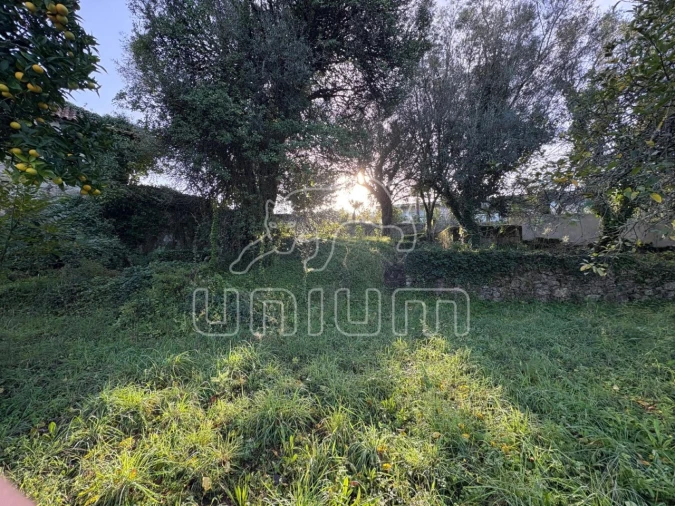 Moradia T2 para Venda em Geraz do Lima (Santa Maria, Santa Leocádia, Moreira), Deão Foto 15