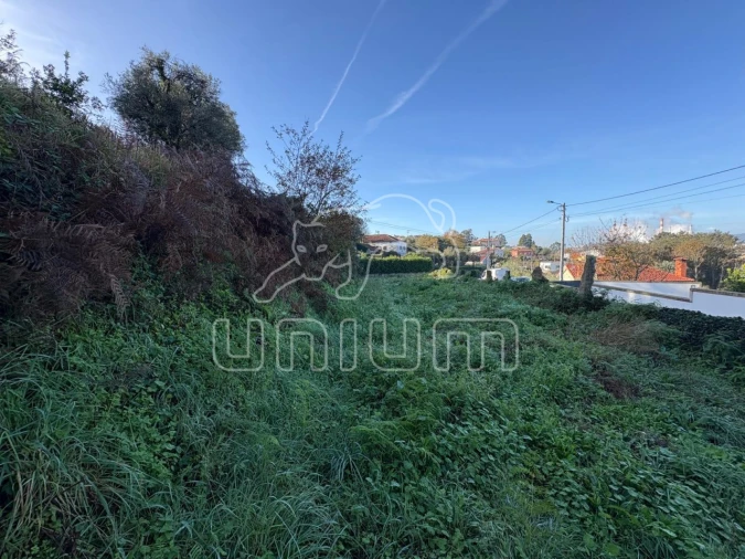 Moradia T2 para Venda em Geraz do Lima (Santa Maria, Santa Leocádia, Moreira), Deão Foto 16