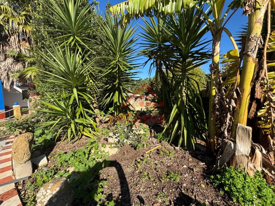 Moradia T4 para Arrendamento em Ericeira Foto 23