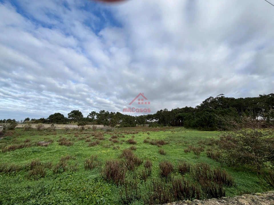 Moradia T4 para Arrendamento em Ericeira Foto 26