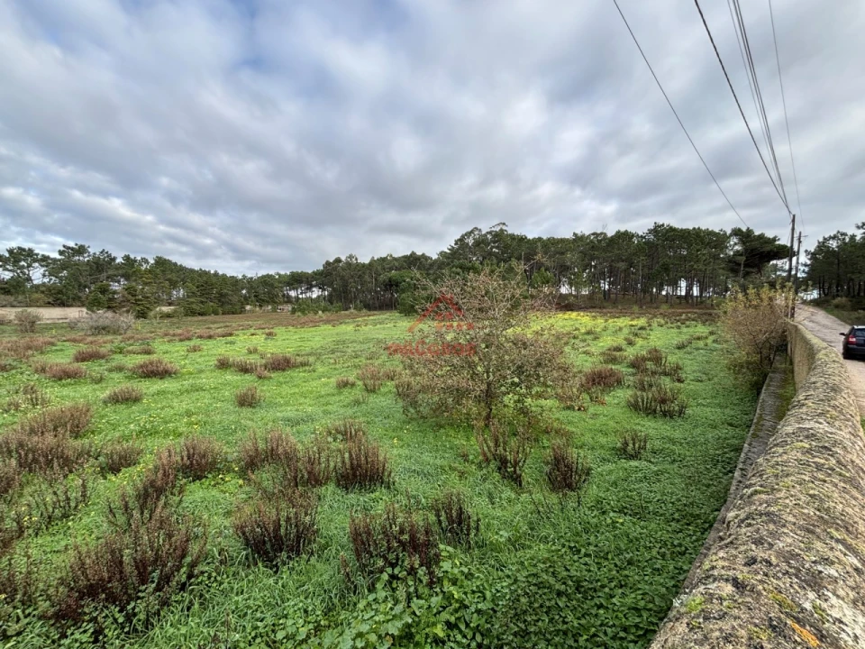 Moradia T4 para Arrendamento em Ericeira Foto 28