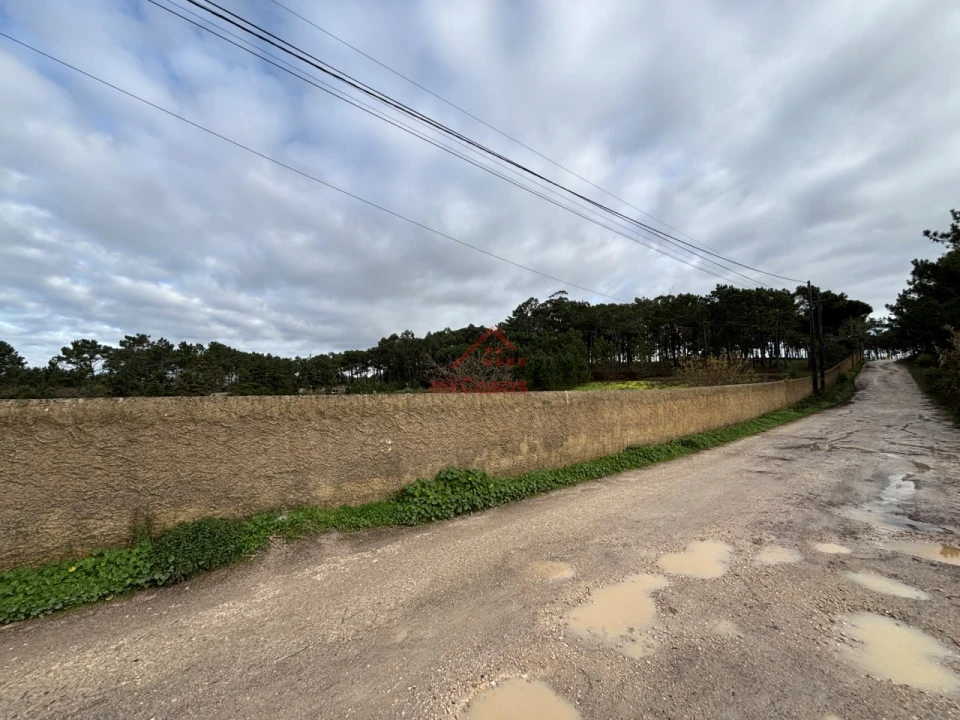 Moradia T4 para Arrendamento em Ericeira Foto 29