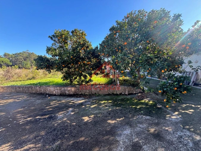 Moradia T4 para Arrendamento em Ericeira Foto 3