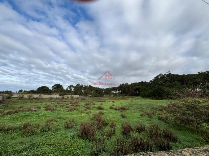 Moradia T4 para Arrendamento em Ericeira Foto 26