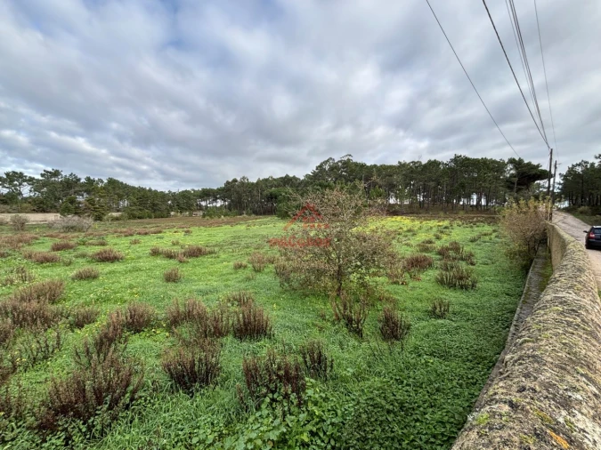 Moradia T4 para Arrendamento em Ericeira Foto 28