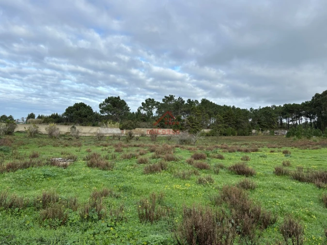 Moradia T4 para Arrendamento em Ericeira Foto 31